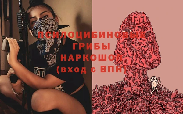 ГАЛЛЮЦИНОГЕННЫЕ ГРИБЫ Армянск