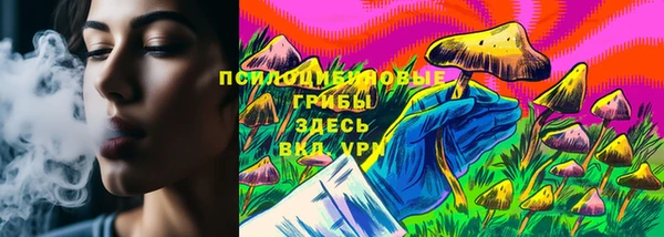 ГАЛЛЮЦИНОГЕННЫЕ ГРИБЫ Армянск