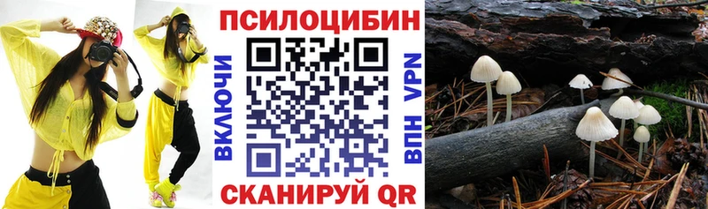 kraken вход  Любим  Псилоцибиновые грибы MAGIC MUSHROOMS 